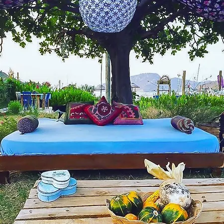 Кемпинг Kocabahce Glamping