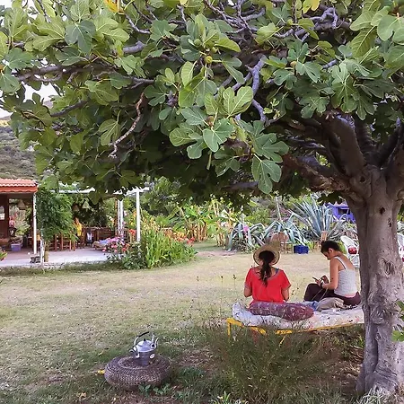 Kocabahce Glamping Мармарис