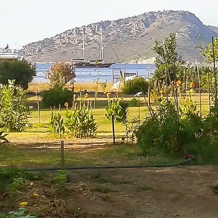 אתר קמפינג Kocabahce Glamping *