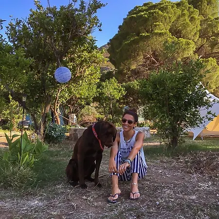 Kocabahce Glamping אתר קמפינג