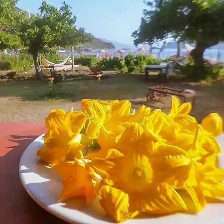Kocabahce Glamping Camping Marmaris